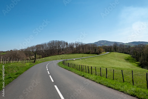 Estrada asfaltada a meio uma verde pastagem rodeada por uma cerca de madeira e algumas ovelhas ao fundo no pasto photo