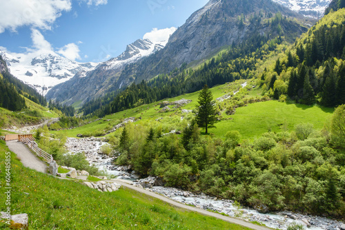 Alpenstraße durch eine grüne Landschaft in den tiroler Bergen photo