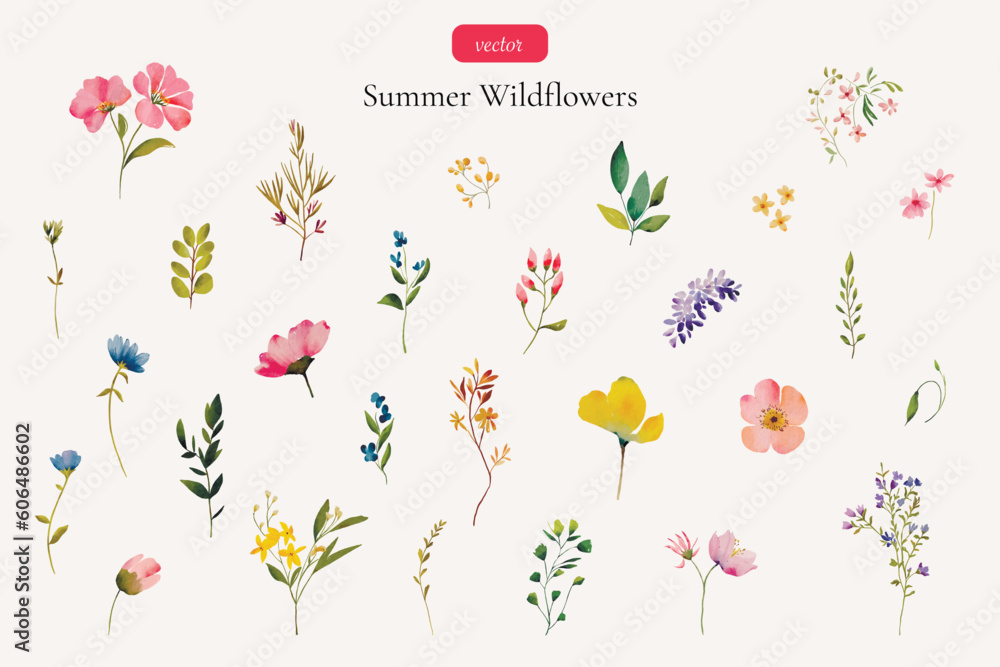 Φωτογραφία Watercolor summer wildflowers