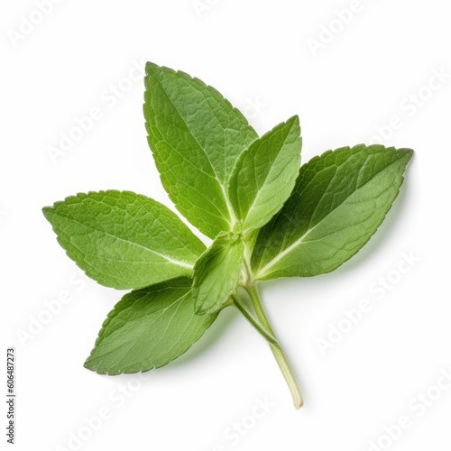 Stevia leaf isolated on white background. Generative AI photo