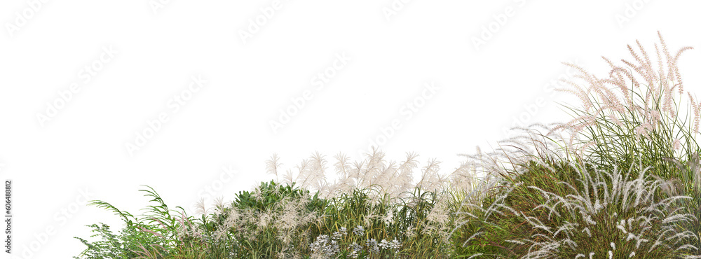 Εκτύπωση καμβά A small garden foreground with many plants and grasses on a transparent background