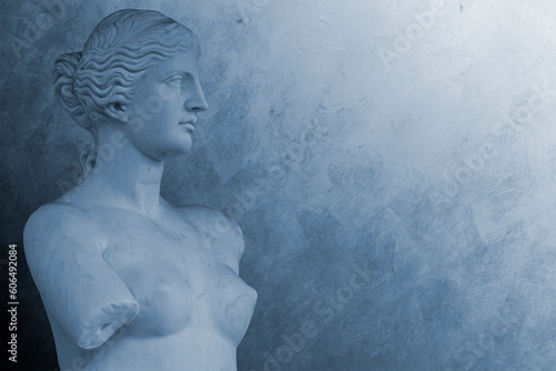 Statue of Venus de Milo  Reproduction version, Head and Torso Detail Perspective with eyes looking into copy space