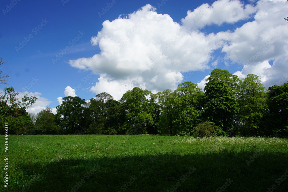 Φωτογραφία Line of trees and lovely sky, East town park, Haverhill, Suffolk, May 2023