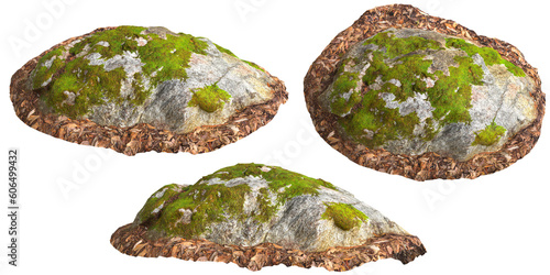 3d illustration of moss covered rocks, set on dry leaves isolated on transparent background