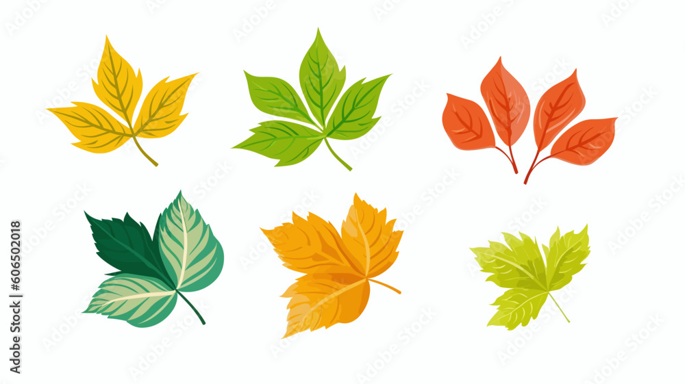 set of autumn leaves, design elements, frames, calligraphic. Vector floral illustration with branches, berries, feathers and leaves. Nature frame on white background