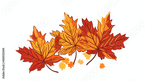 autumn maple leaves, design elements, frames, calligraphic. Vector floral illustration with branches, berries, feathers and leaves. Nature frame on white background