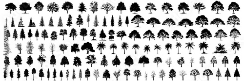 Tela silhouette tree line drawing set, Side view, set of graphics trees elements outline symbol for architecture and landscape design drawing