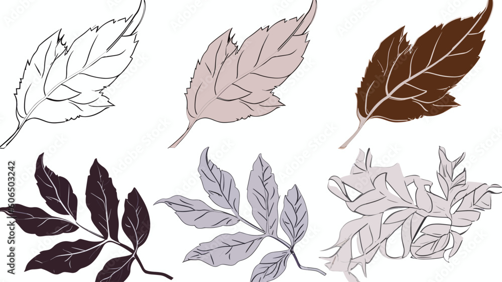 black and white feathers, design elements, frames, calligraphic. Vector floral illustration with branches, berries, feathers and leaves. Nature frame on white background