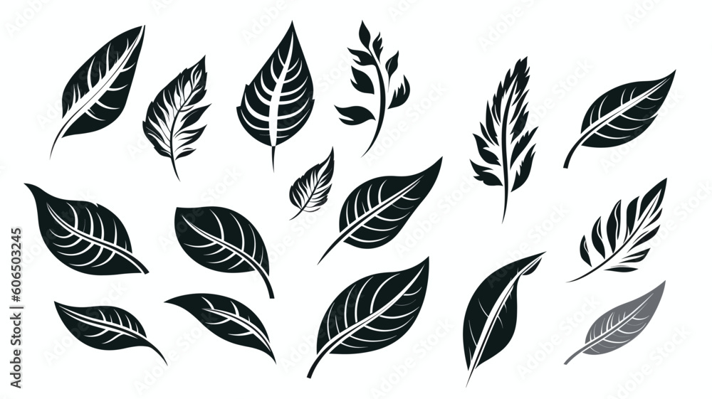 set of silhouettes of leaves, design elements, frames, calligraphic. Vector floral illustration with branches, berries, feathers and leaves. Nature frame on white background set of silhouettes of leaves, design elements, frames, calligraphic. Vector floral illustration with branches, berries, feathers and leaves. Nature frame on white background