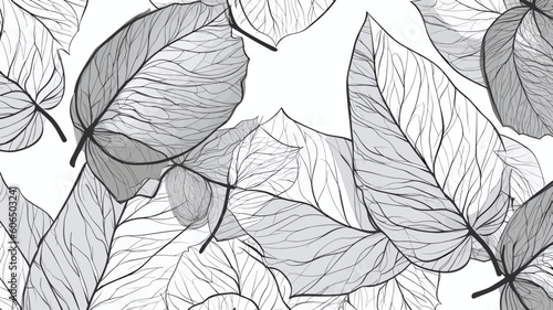 black and white leaves, design elements, frames, calligraphic. Vector floral illustration with branches, berries, feathers and leaves. Nature frame on white background