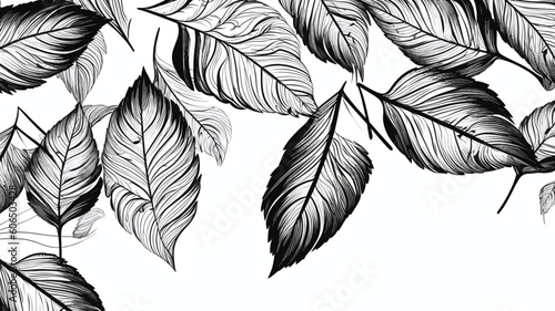 set of leaves design elements, frames, calligraphic. Vector floral illustration with branches, berries, feathers and leaves. Nature frame on white background