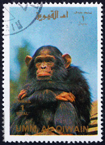 Postage stamp Umm al-Quwain 1972 Chimpanzee, Great Ape photo