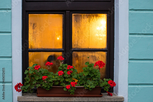 ventana en invierno flores rojas