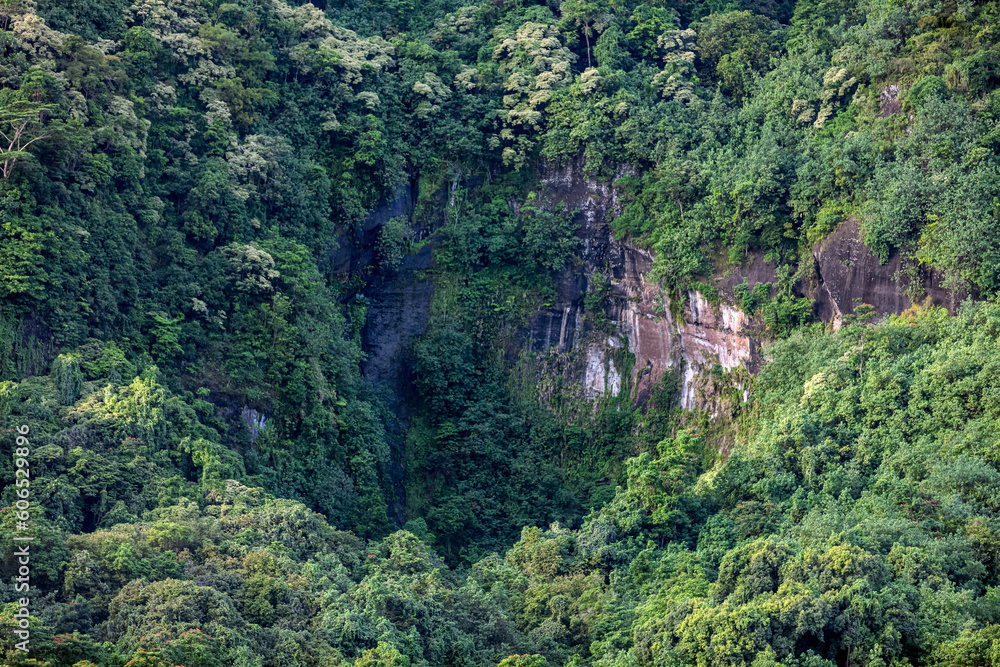 Intérieur des montagnes de l'île de Mo'orea en Polynésie 
