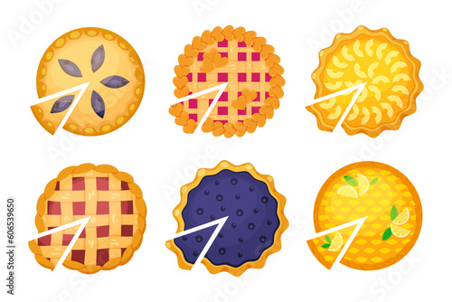 Set of homemade pies and pieces of pies with various fruit or berry fillings. Top view. Delicious cake, dessert. Concept of National pie day or Thanksgiving day for web, menu, card, recipe, delivery
