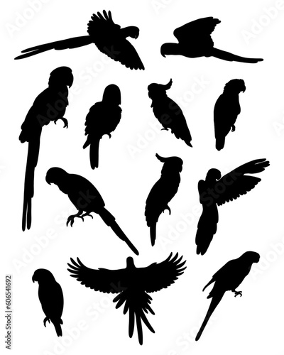 Collection silhouettes of parrots. Tropical birds macaw, cockatoo, budgerigar. Vector illustration. Isolated elements on white background.