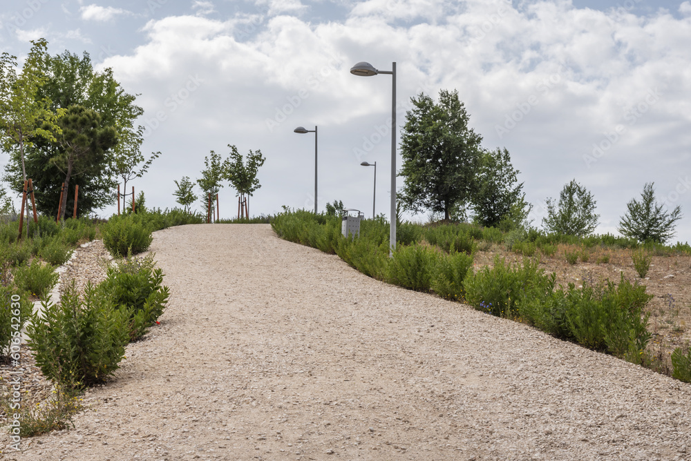 A steep dirt path in an urban park with young trees