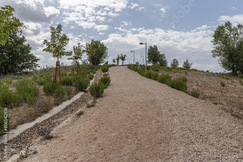 A steep dirt road in an urban park