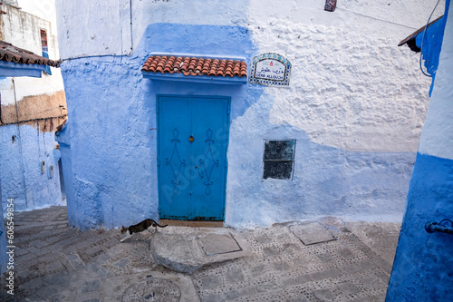 Blue street with cat down stairs in morocco