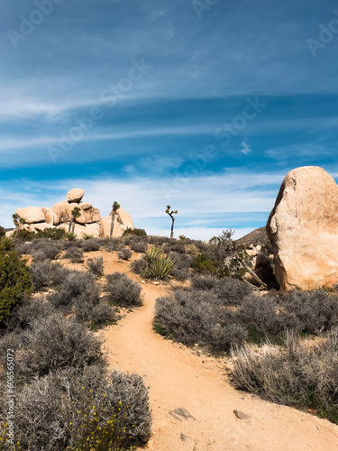 Hiking trail with large rocks in the desert under a blue sky in Joshua Tree National Park