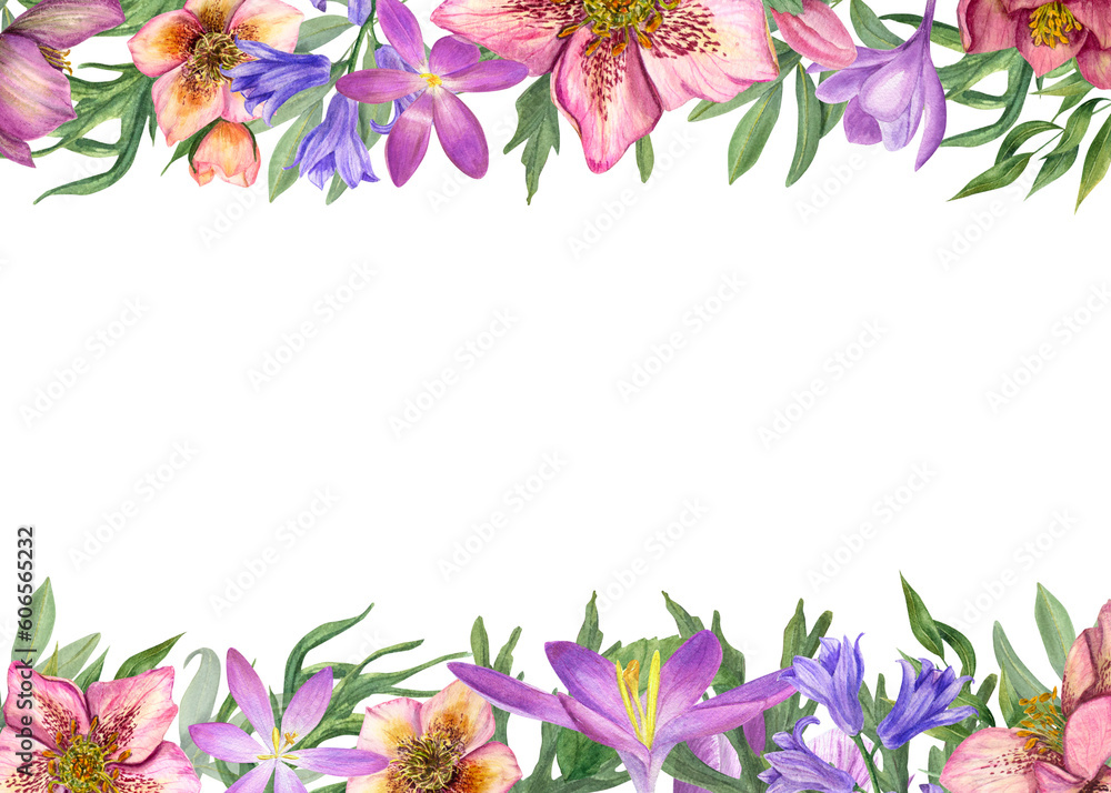 Rectangle floral frame with watercolor hellebores, crocuses, hyacinth, green leaves isolated on transparent background. Botanical illustration for postcard design, invitation template, greetings