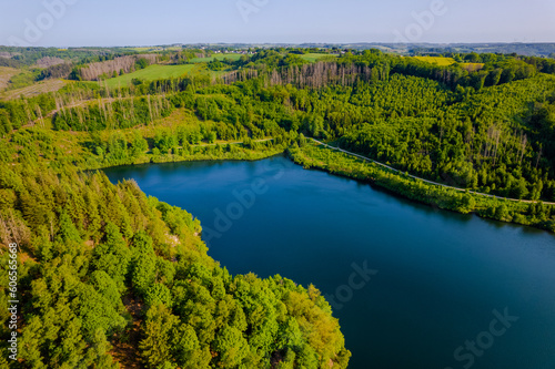 Aerial view of green summer forest and blue lake