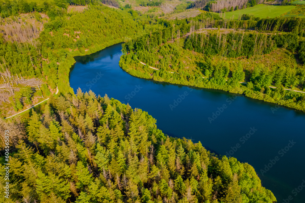 Fototapeta premium Aerial view of green summer forest and blue lake