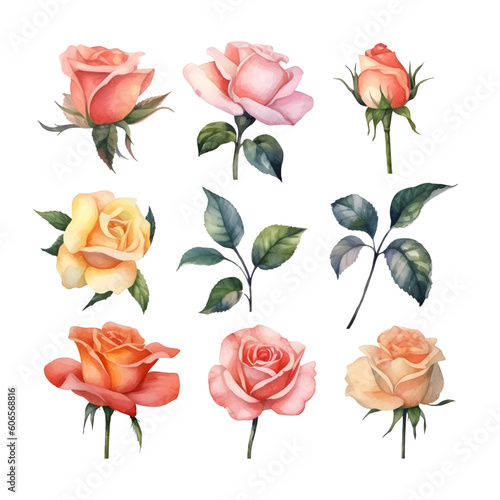 Set of beautiful watercolor roses