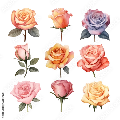 Set of beautiful watercolor roses