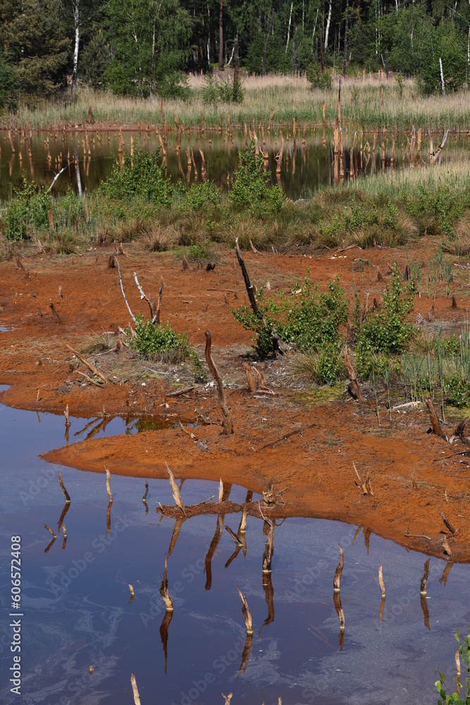 Φωτογραφία Ścieżka Geoturystyczna, Dawna Kopalnia Babina, Łeknica, krajobraz, park,