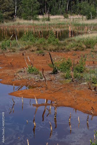 Ścieżka Geoturystyczna, Dawna Kopalnia Babina, Łeknica, krajobraz, park,