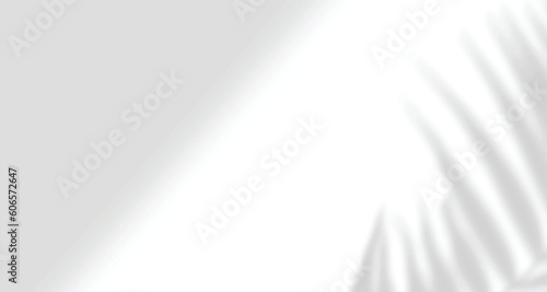Realistic blurred natural light leaves, palm and window shadow overlay on wall paper or frames texture, abstract background, summer, spring, autumn for product presentation podium and mockup seasonal.