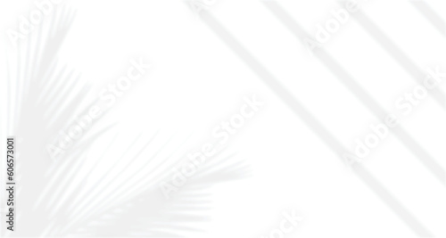Realistic blurred natural light leaves, palm and window shadow overlay on wall paper or frames texture, abstract background, summer, spring, autumn for product presentation podium and mockup seasonal.