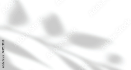 Realistic blurred natural light leaves, palm and window shadow overlay on wall paper or frames texture, abstract background, summer, spring, autumn for product presentation podium and mockup seasonal.