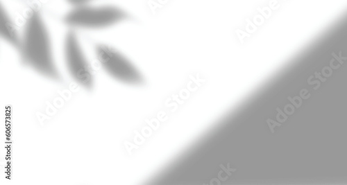 Realistic blurred natural light leaves, palm and window shadow overlay on wall paper or frames texture, abstract background, summer, spring, autumn for product presentation podium and mockup seasonal.