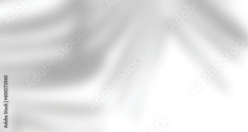 Realistic blurred natural light leaves, palm and window shadow overlay on wall paper or frames texture, abstract background, summer, spring, autumn for product presentation podium and mockup seasonal.