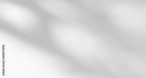 Realistic blurred natural light leaves, palm and window shadow overlay on wall paper or frames texture, abstract background, summer, spring, autumn for product presentation podium and mockup seasonal.