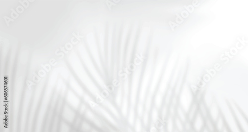 Realistic blurred natural light leaves, palm and window shadow overlay on wall paper or frames texture, abstract background, summer, spring, autumn for product presentation podium and mockup seasonal.