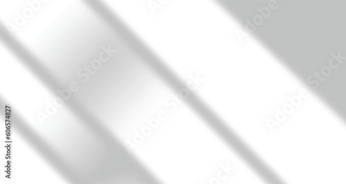 Realistic blurred natural light leaves  palm and window shadow overlay on wall paper or frames texture  abstract background  summer  spring  autumn for product presentation podium and mockup seasonal.