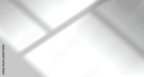 Realistic blurred natural light leaves, palm and window shadow overlay on wall paper or frames texture, abstract background, summer, spring, autumn for product presentation podium and mockup seasonal.