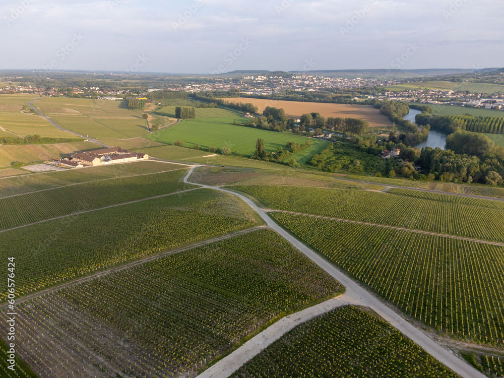 Panoramic aerial view on green premier cru champagne vineyards and fields near village Hautvillers and  Cumieres and Marne river valley, Champange, France