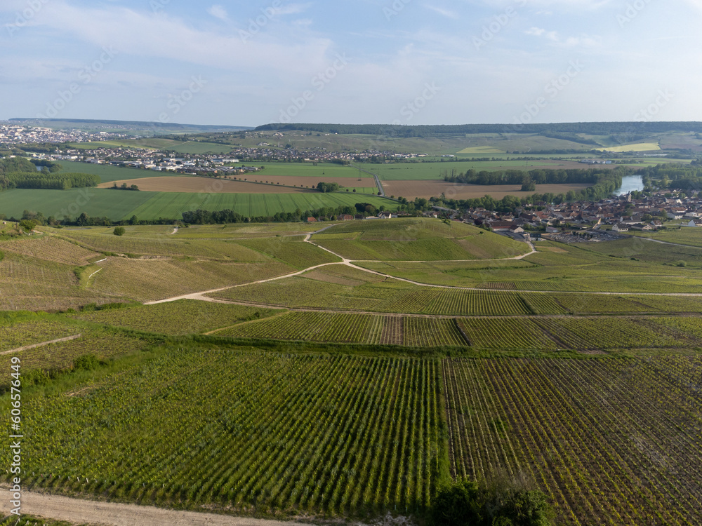 Panoramic aerial view on green premier cru champagne vineyards and fields near village Hautvillers and  Cumieres and Marne river valley, Champange, France