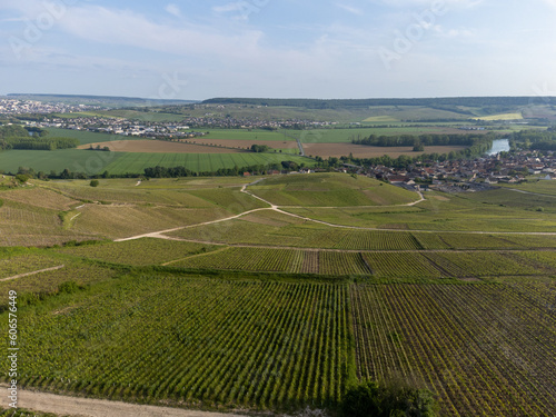 Panoramic aerial view on green premier cru champagne vineyards and fields near village Hautvillers and  Cumieres and Marne river valley  Champange  France