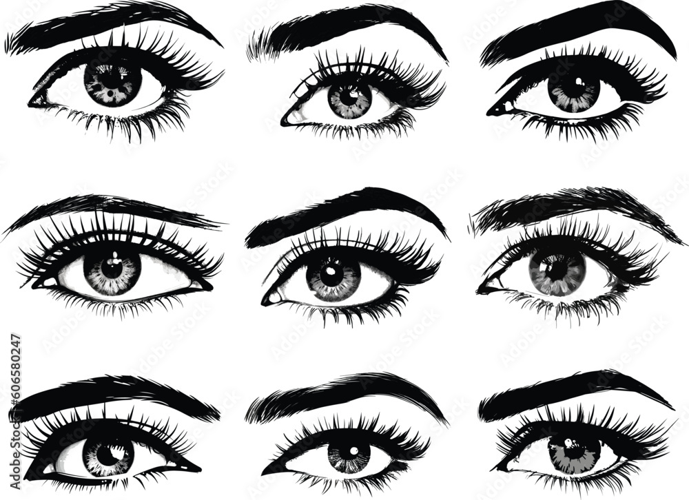 eyes and eyebrows illustration. set of eyes. vector illustration. cosmetic eye. cartoon eye. eyes and eyebrows illustration. set of eyes. vector illustration. cosmetic eye. cartoon eye.