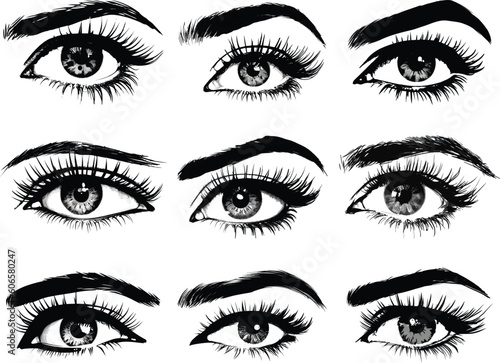 eyes and eyebrows illustration. set of eyes. vector illustration. cosmetic eye. cartoon eye.