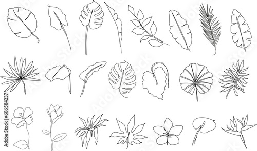Tropical leaves one line drawing.Continuous line drawing of tropical palm leaf.Single one line exotic flowers and palm leaf .Leaves outline sketch.Jungle plant leaf line art.Set tropical leaves.
