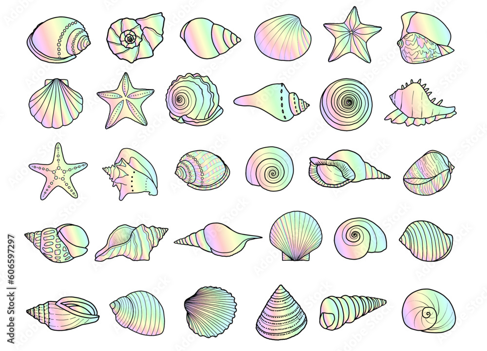 Set of 30 hand-drawn seashells