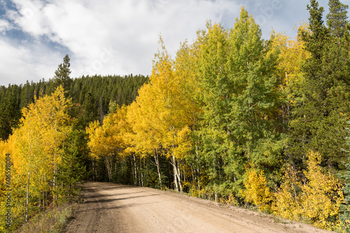 Ivanhoe Lake Road east of Chapman Reservoir in the early autumn late afternoon light. photo