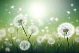 Spring background with white dandelions, Generative ai