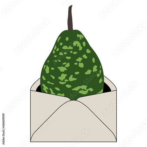 Bottle Gourd Speckled Bottle inside paper envelope. Lagenaria siceraria. Green calabash Opo squash. Isolated vector illustration.